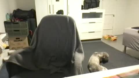 cheftoti online show from 16, 2, 2025