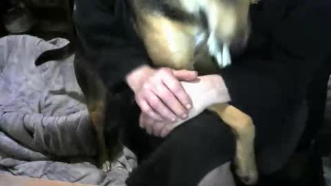 chefy online show from 19, 2, 2026