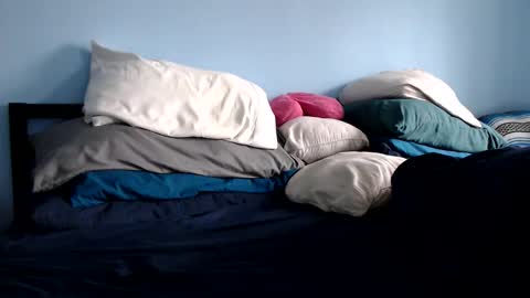 Chelsea online show from 25, 11, 2025