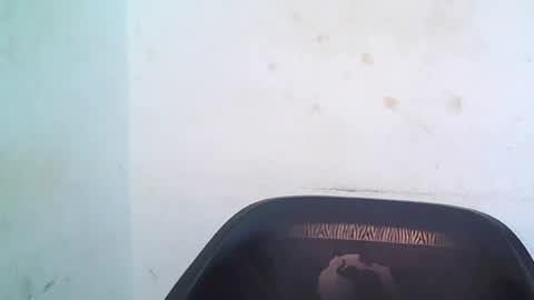 cherryxpussy online show from 3, 5, 2026