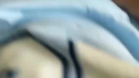 domenic online show from 31, 1, 2025