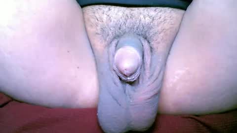 chinny_fuckdoll online show from 3, 2, 2026