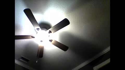 CHINO online show from 16, 4, 2026