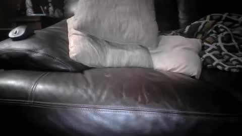 chippy70 online show from 26, 3, 2026