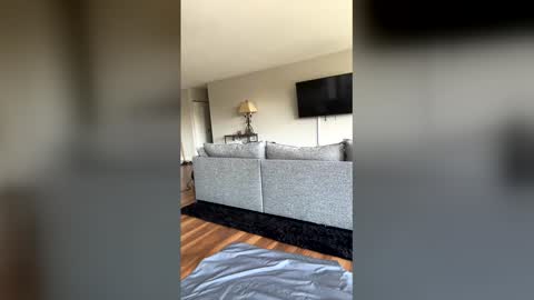 Chocolate Dick online show from 4, 4, 2026