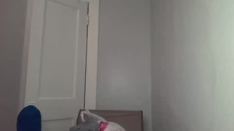 Snapshot of chocolatedolla chatting on 4, 3, 2025 chocolatedolla online show from 4, 3, 2025