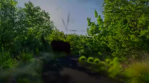 Chris online show from 27, 1, 2025