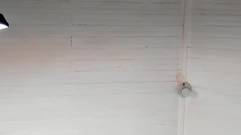 Chriz online show from 5, 12, 2024