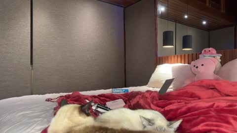 Snapshot of christinasage chatting on 18, 9, 2025 Christina Sage online show from 18, 9, 2025