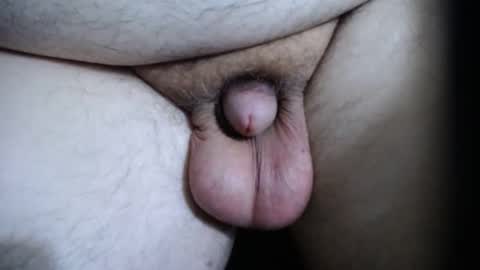 chubbl online show from 11, 1, 2026