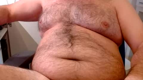 Chubby Bear BY online show from 1, 7, 2026