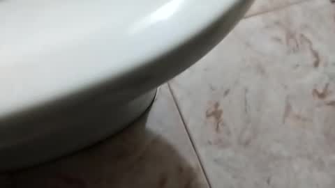 Snapshot of ciccilli chatting on 5, 10, 2025 ciccilli online show from 5, 10, 2025