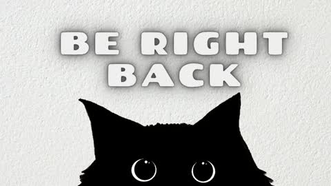 Emily online show from 9, 5, 2026