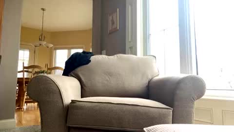 cinapw online show from 21, 12, 2024