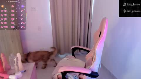 Snapshot of circe_l chatting on 17, 11, 2025 Paulina online show from 17, 11, 2025