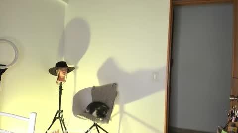 Claudia Rivera online show from 31, 10, 2025