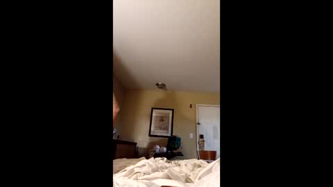 claytonbrannon3717547 online show from 17, 12, 2025