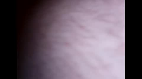 clit_commander209 online show from 27, 11, 2025