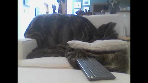 clitboy658752 online show from 14, 1, 2026