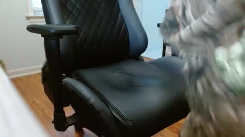 cobra19765 online show from 17, 1, 2026