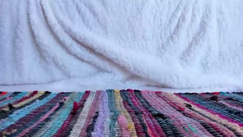 Gorgeous online show from 18, 2, 2025