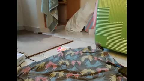 Snapshot of coco_vixen9 chatting on 29, 11, 2025 coco vixen9 online show from 29, 11, 2025