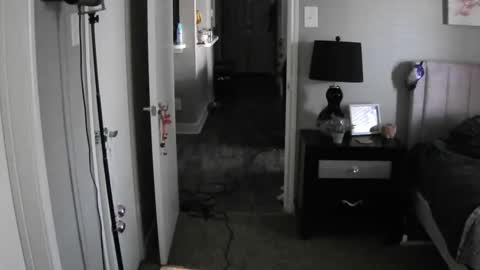 Snapshot of codieraye chatting on 12, 12, 2024 TheGoddessCodie online show from 12, 12, 2024