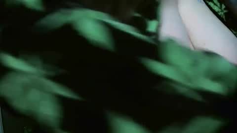 Snapshot of codieraye chatting on 29, 12, 2024 TheGoddessCodie online show from 29, 12, 2024