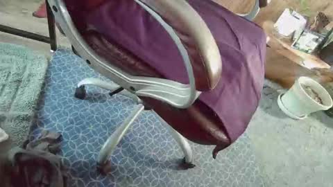 cody81421 online show from 12, 1, 2026