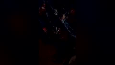 Snapshot of codyonit888 chatting on 11, 1, 2026 codyonit888 online show from 11, 1, 2026