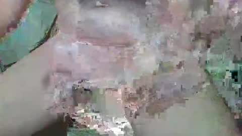 cogela_sin_miedo online show from 20, 10, 2025