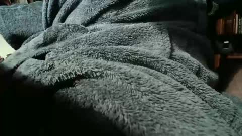 colchuck online show from 20, 2, 2026