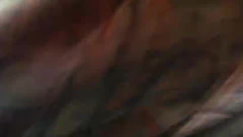 comox online show from 10, 2, 2025