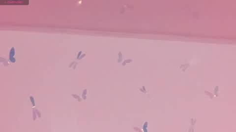 Conny online show from 2, 3, 2025