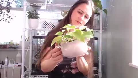 ANR Mommy online show from 4, 10, 2025