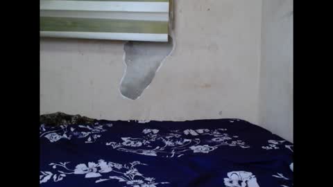 Snapshot of cornxslut chatting on 15, 9, 2025 cornxslut online show from 15, 9, 2025