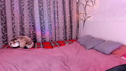 Alice online show from 28, 2, 2025