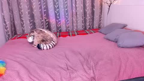 Alice online show from 1, 3, 2025