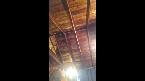 Snapshot of country_man61 chatting on 8, 6, 2026 country_man61 online show from 8, 6, 2026