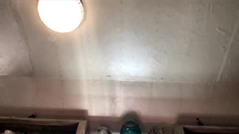 countryjoe2002 online show from 18, 12, 2025