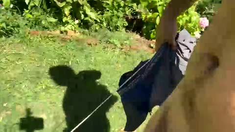 Snapshot of countrymilk chatting on 6, 1, 2025 Countrydilf online show from 6, 1, 2025