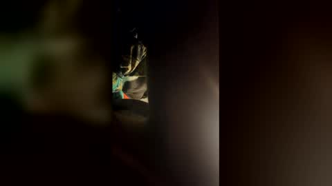 cowboy277228 online show from 24, 3, 2026