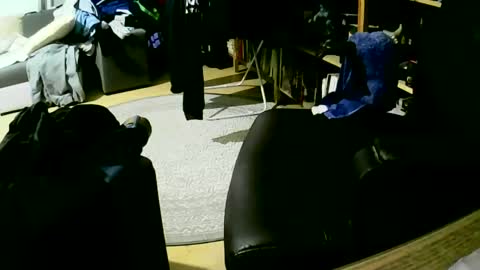 Snapshot of coyote017 chatting on 27, 1, 2025 coyote017 online show from 27, 1, 2025