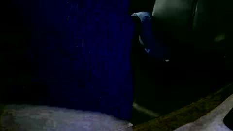 Snapshot of coyote017 chatting on 31, 1, 2025 coyote017 online show from 31, 1, 2025