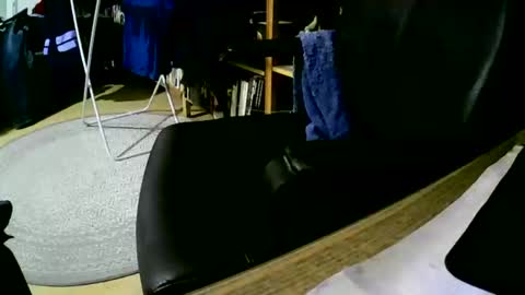 Snapshot of coyote017 chatting on 1, 2, 2025 coyote017 online show from 1, 2, 2025