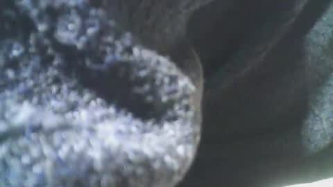 Snapshot of cplmature87 chatting on 20, 2, 2025 cplmature87 online show from 20, 2, 2025