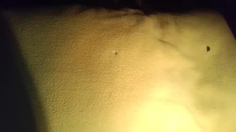 crave_me_ online show from 29, 11, 2025