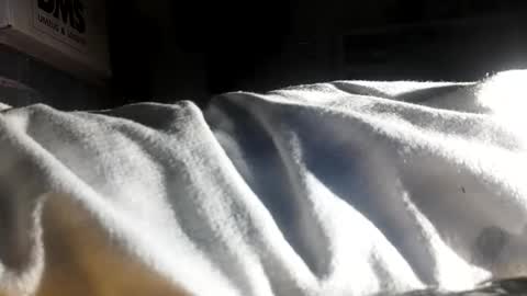 crave_me_ online show from 30, 11, 2025