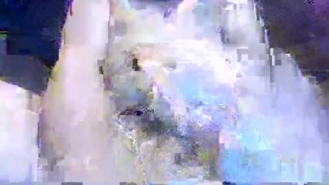 crazydog3690 online show from 12, 3, 2026