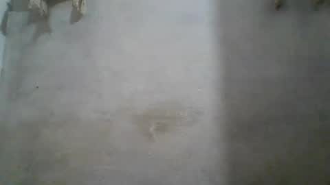 Snapshot of crazzy_booy chatting on 11, 6, 2026 crazzy_booy online show from 11, 6, 2026